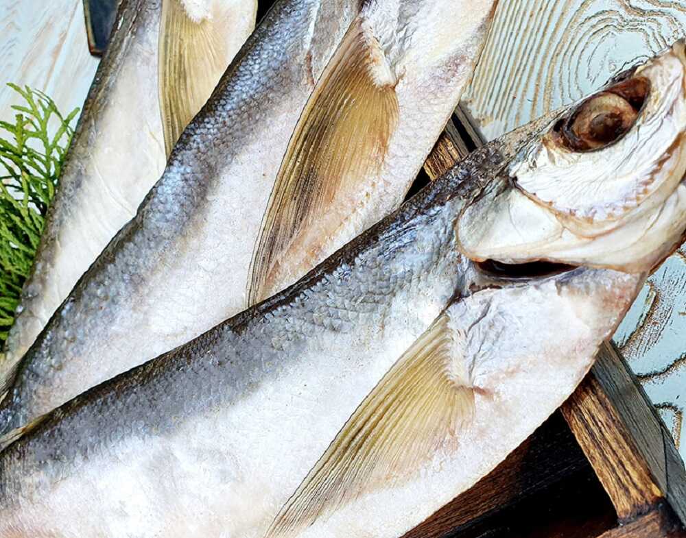 Чехонь методом мокрой засолки Соленая чехонь