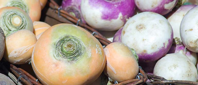 Что такое турнепс