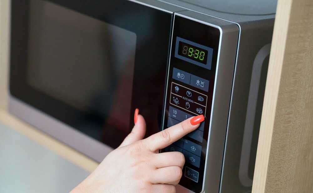 Сушка базилика в микроволновке Девушка включает микроволновку