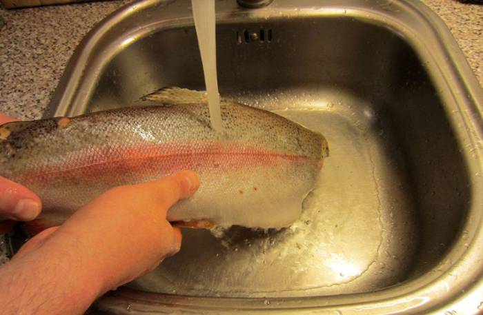 Промывание форели под водой Форель и вода