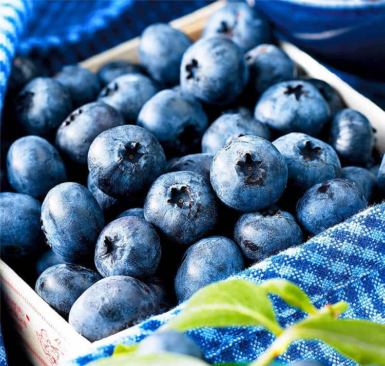 Какие сорта голубики подходят для Средней полосы России - лучшие представители