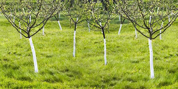 геометрия-посадки