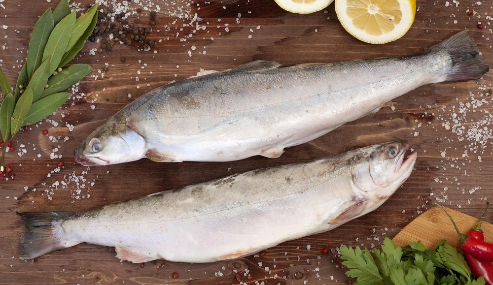 Как выглядит свежемороженый голец Голец крупный свежемороженый