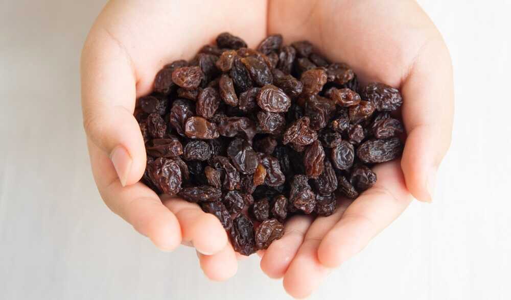 Польза сушеного винограда для организма Горсть изюма в руках