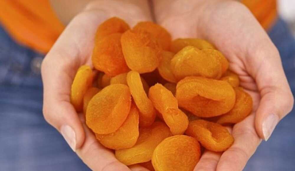 Свежая курага Горсть кураги в руках