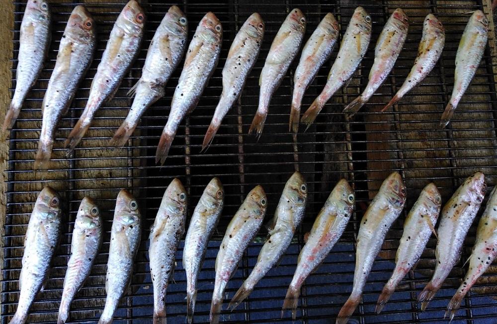 Как коптить барабульку горячим способом Горячее копчение барабульки