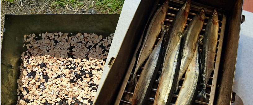 Копчение сайры горячим методом Горячее копчение сайры