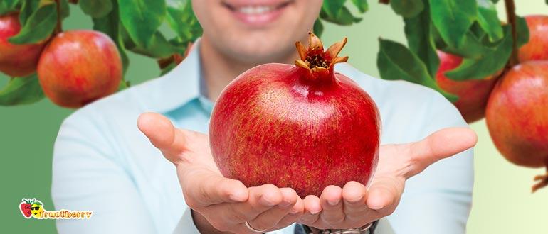 Гранат для мужчин