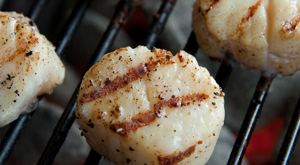 Приготовленные морские гребешки-гриль в прованских травах Гребешки-гриль в прованских травах