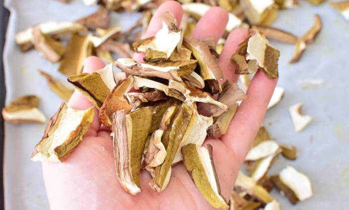 Высушенные в духовке грибы Грибы из духовки