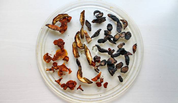 Высушенные в микроволновке грибы Грибы из микроволновки