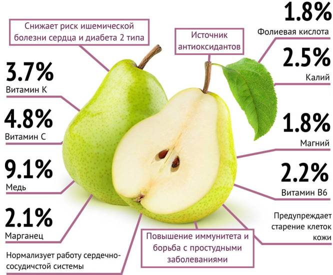 Химический состав и полезные свойства груш Груша и состав