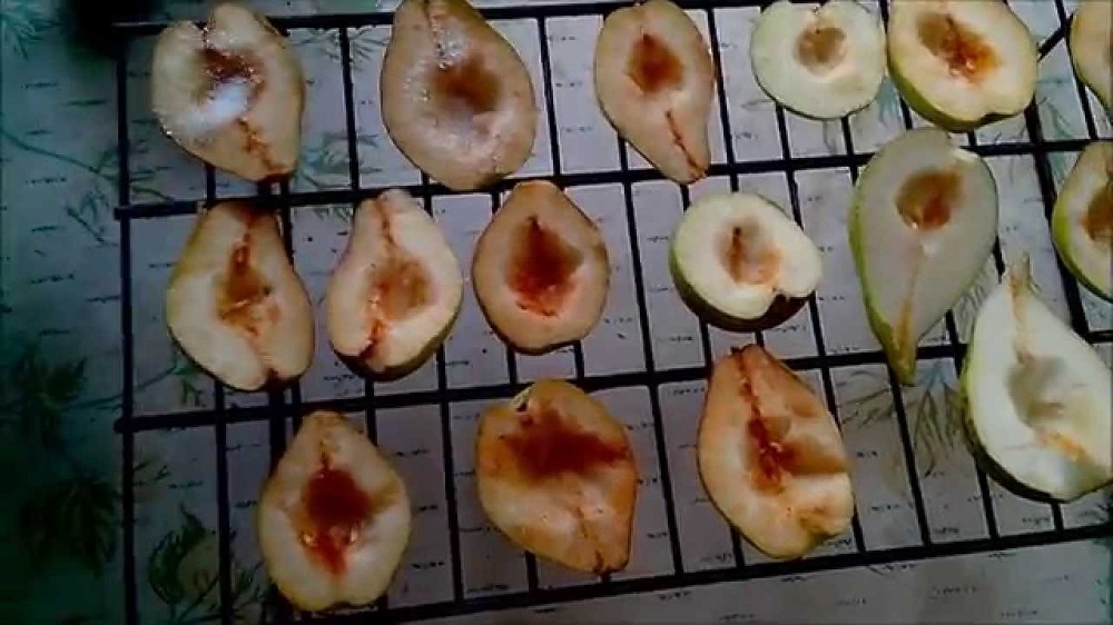 Выкладывание груш на решётку Груши на решётке