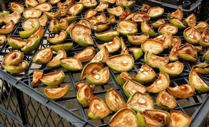 Вяление груш на солнце Груши на солнце