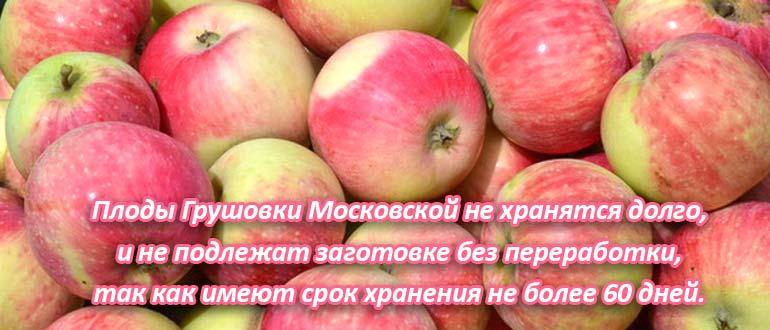 Грушовка хранение