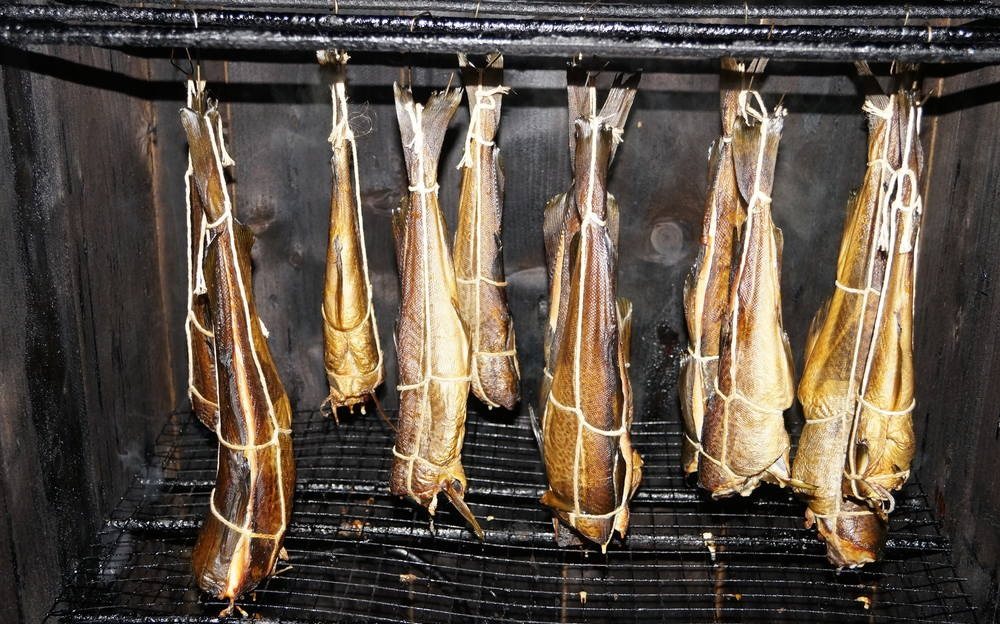 Копчение наваги холодным способом Холодное копчение наваги