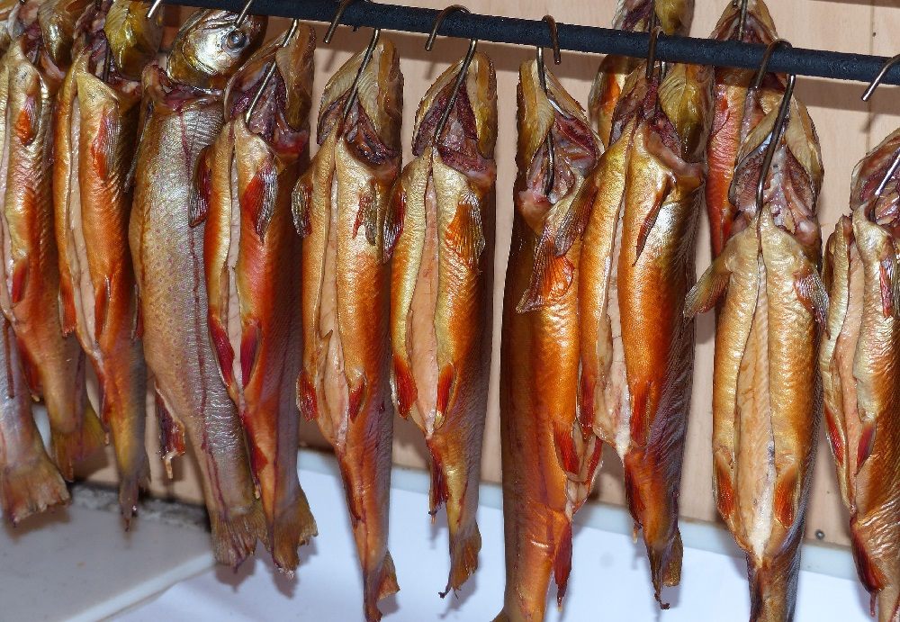 Копчение гольцов холодным методом Холодное копчение гольца