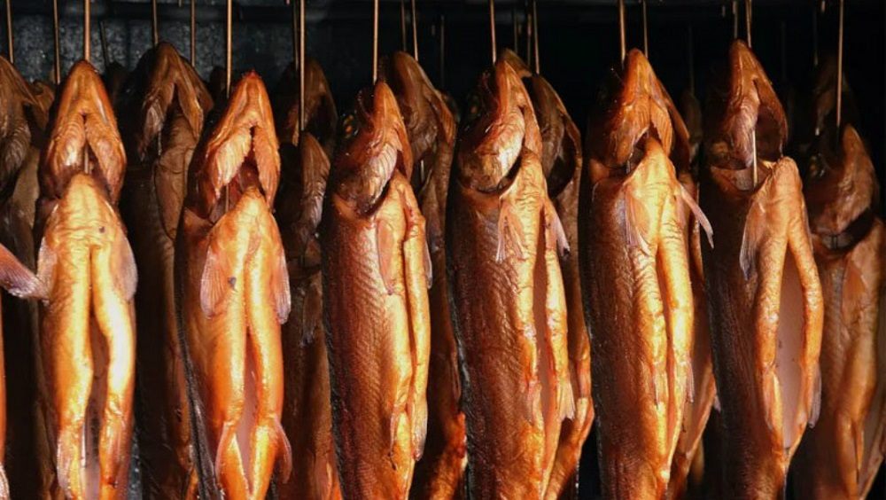 Копчение пеленгаса холодным способом Холодное копчение пеленгаса