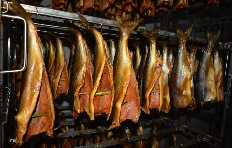 Копчение рыбы холодным способом Холодное копчение рыбы