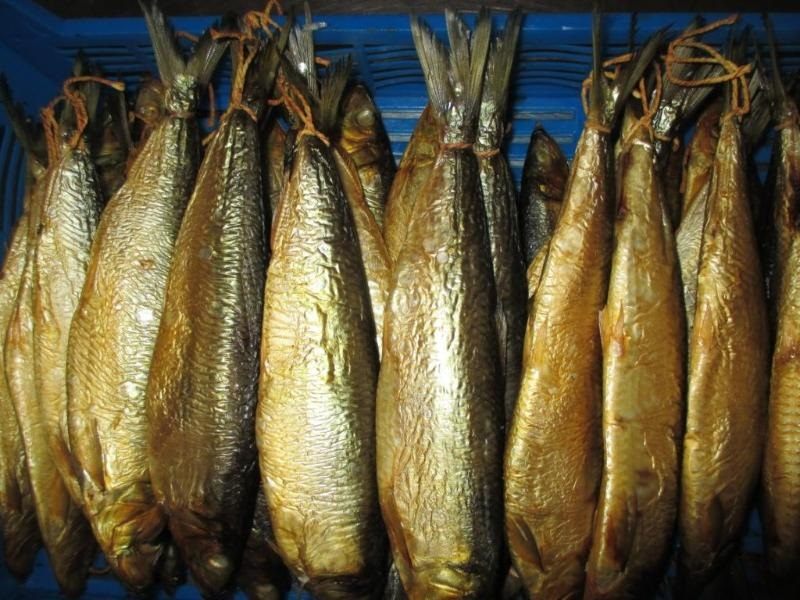 Копчение салаки холодным методом Холодное копчение салаки