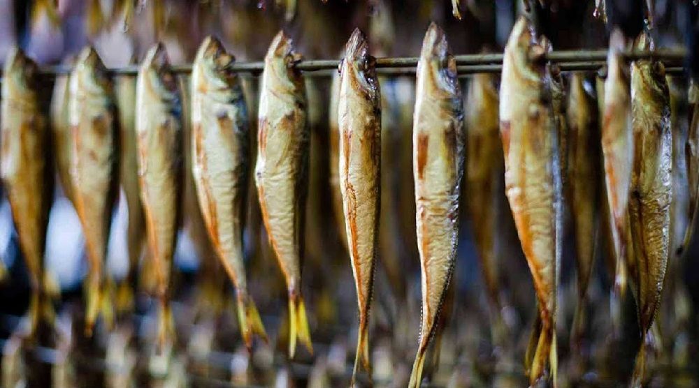 Копчение ставриды холодным способом Холодное копчение ставриды
