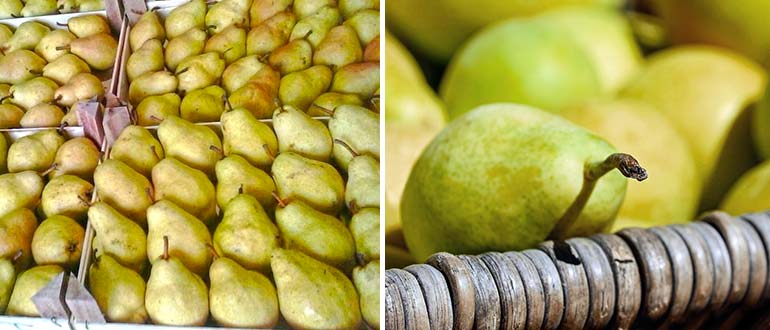 хранение груши