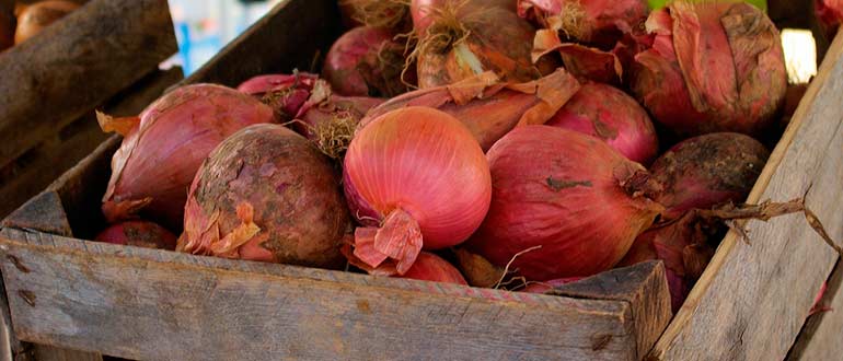 хранение лука в погребе