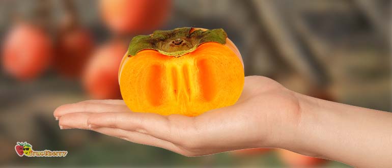 хурма при диабете 2 типа