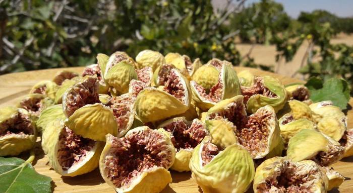 Вяленый инжир, приготовленный на солнце Инжир после солнца