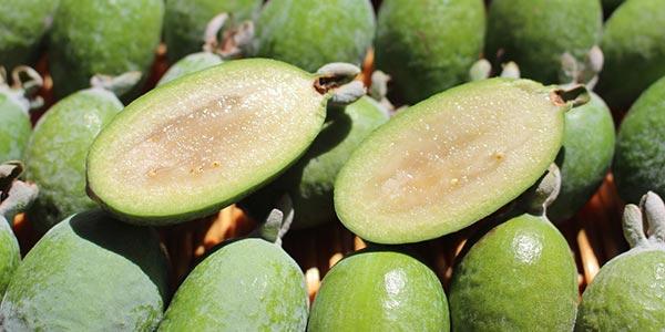 как-выбрать-ягоду