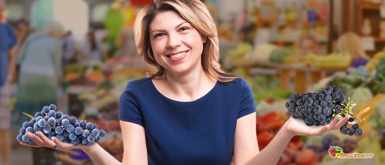 как выбрать виноград