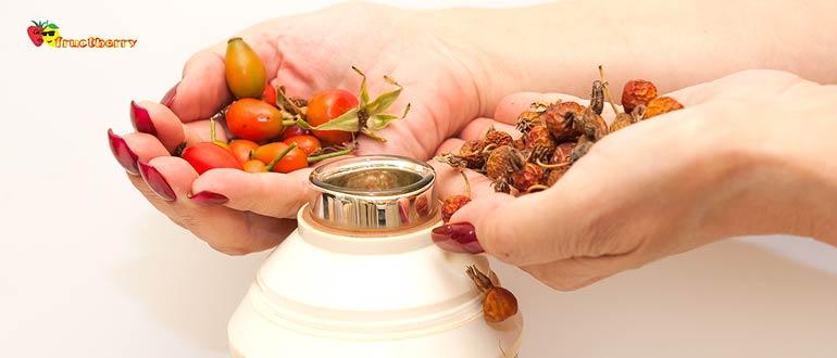 как заваривать шиповника в термосе