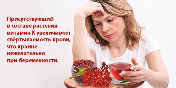 калина-при-беременности