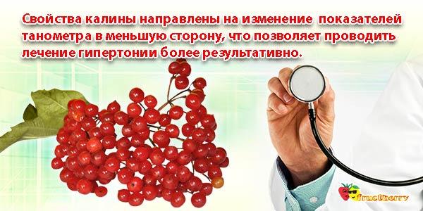 калина-при-гипертонии