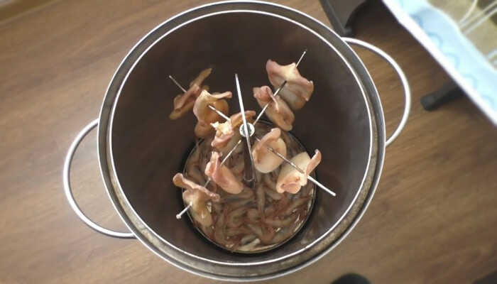 Кальмары перед копчением в коптильне Браво Кальмары в коптильне Браво