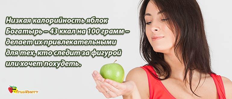 калорийность яблока богатырь
