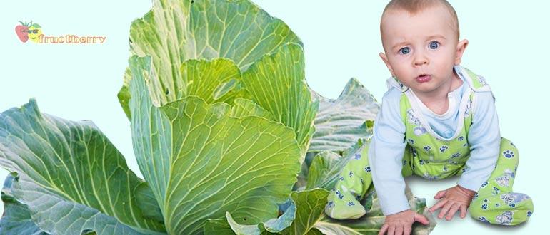 Капуста для детей