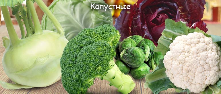 капустные