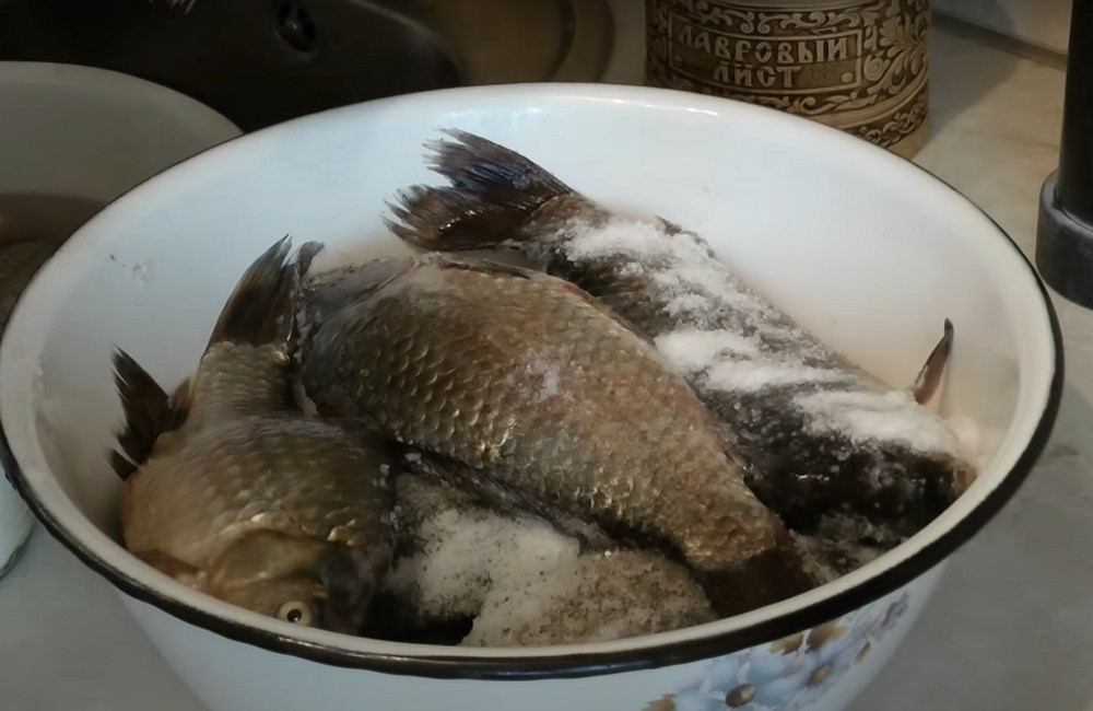 Карп с солью в эмалированной миске Тушки карпа в эмалированной миске засыпанные солью
