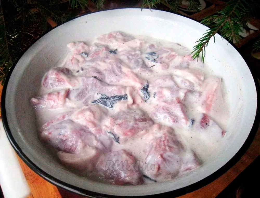 Мясо в кефирном маринаде Кефирный маринад