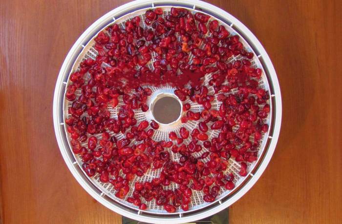 Сушка кизила в электросушилке Кизил в сушилке