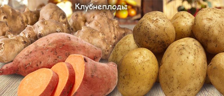 клубнеплоды