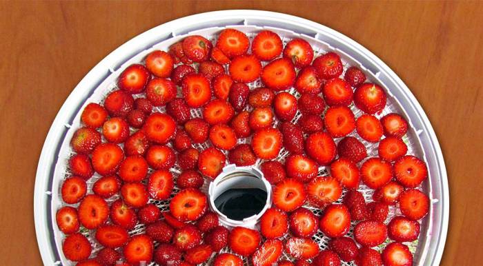 Вяление клубники в электросушилке Клубника в сушилке