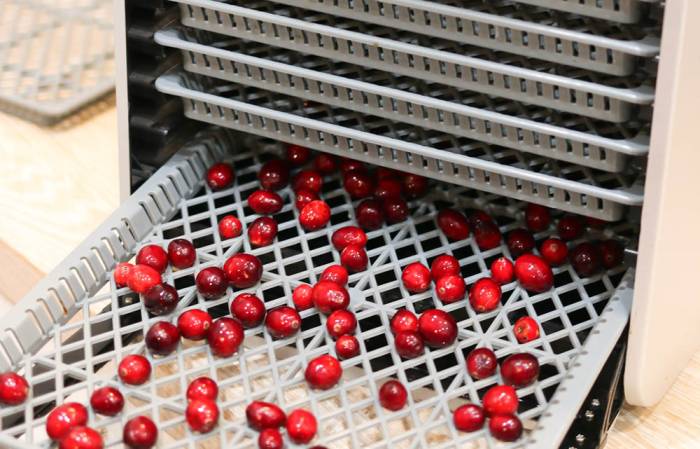 Вяление клюквы в дегидраторе Клюква в дегидраторе