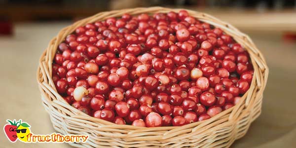 клюква-в-корзинке