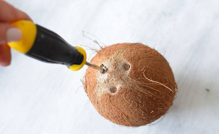 Проделывание отверстий в кокосе Кокос и отвёртка