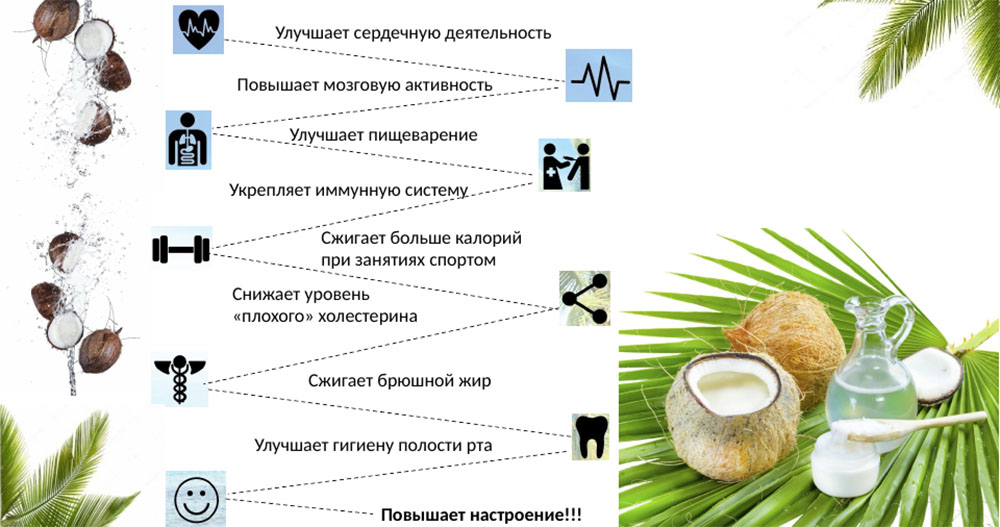 Польза сушёного кокоса Кокос и польза