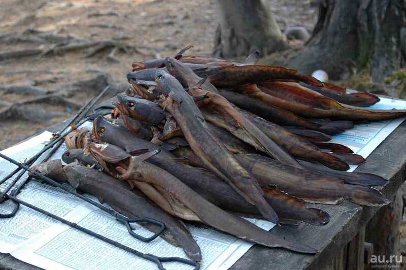 Налим горячего копчения Копченные тушки налима горячим способом
