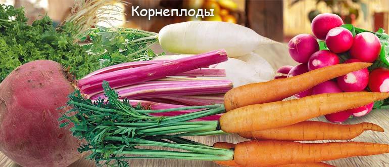 корнеплоды