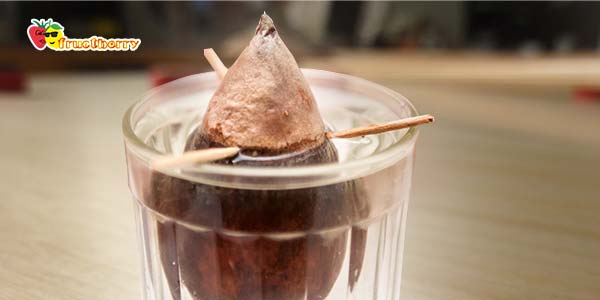 косточка-в-стакане